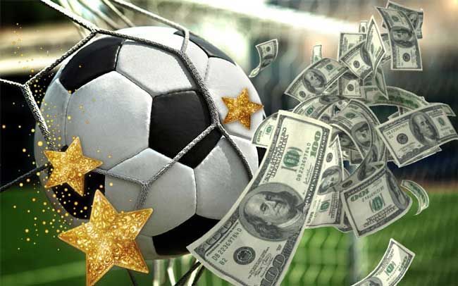 Discover the Exciting Features of Shark 1xbet