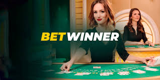 Everything You Need to Know About Bet Winner APK 2
