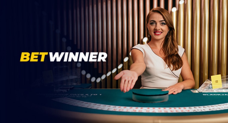 Everything You Need to Know About Bet Winner APK 2
