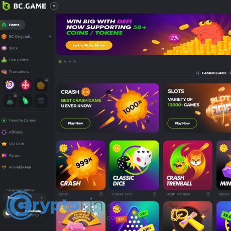 Exploring the Exciting World of BC.Game FR A Comprehensive Guide