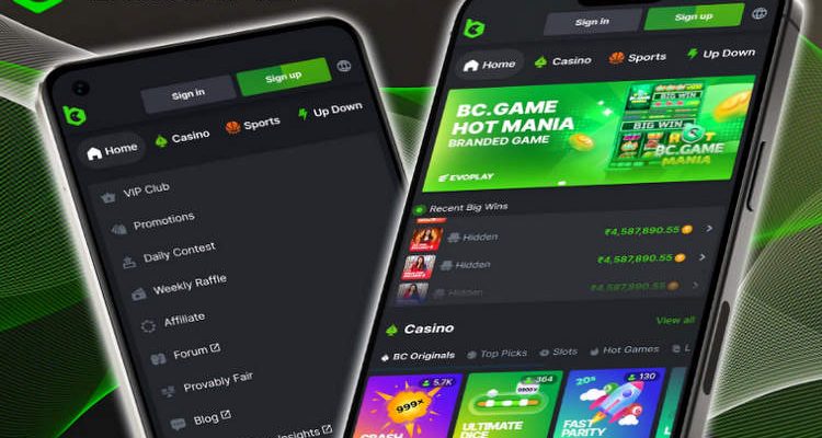 How to Navigate BC Game Registration A Comprehensive Guide