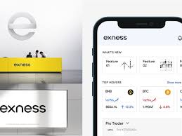 Understanding Exness Broker Your Guide to Trading Success