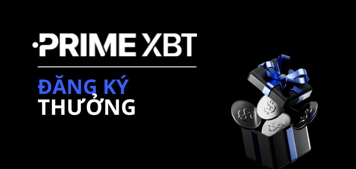 Unlocking Financial Opportunities with PrimeXBT Forex