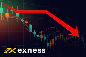 Discover the Future of Investing Exness Social Trading