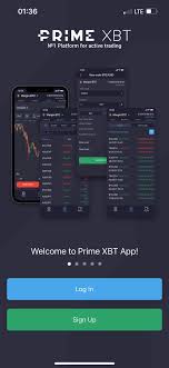 Discovering Opportunities Brasil PrimeXBT for Smart Trading