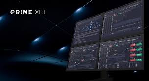 Discovering Opportunities Brasil PrimeXBT for Smart Trading