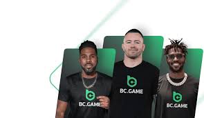 Explore BC Game Bonus Poland A Comprehensive Guide to Promotions and Offers